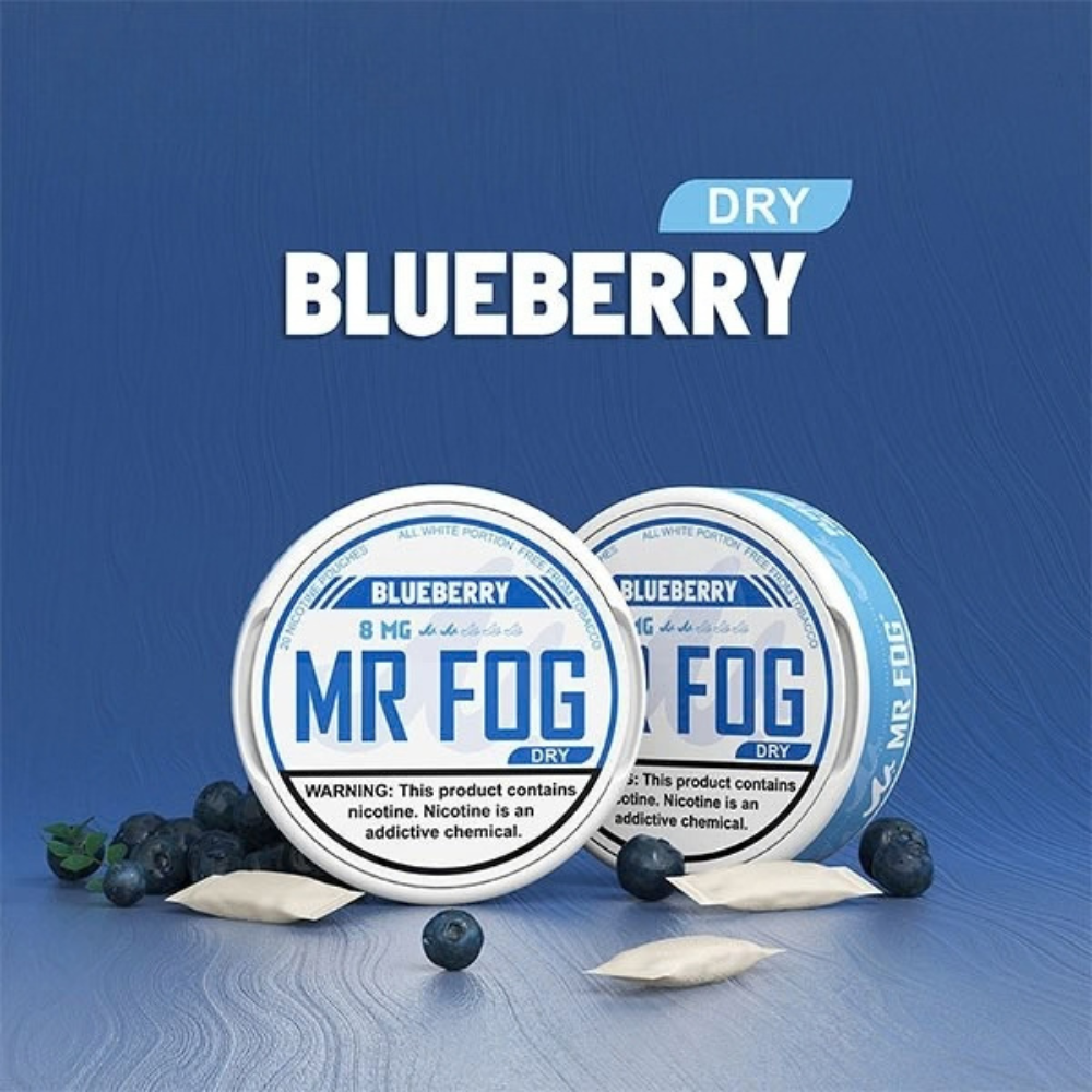 MR FOG Pouches Blueberry 8MG (Dry)