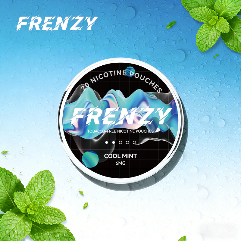 FRENZY Pouches Cool Mint 6MG