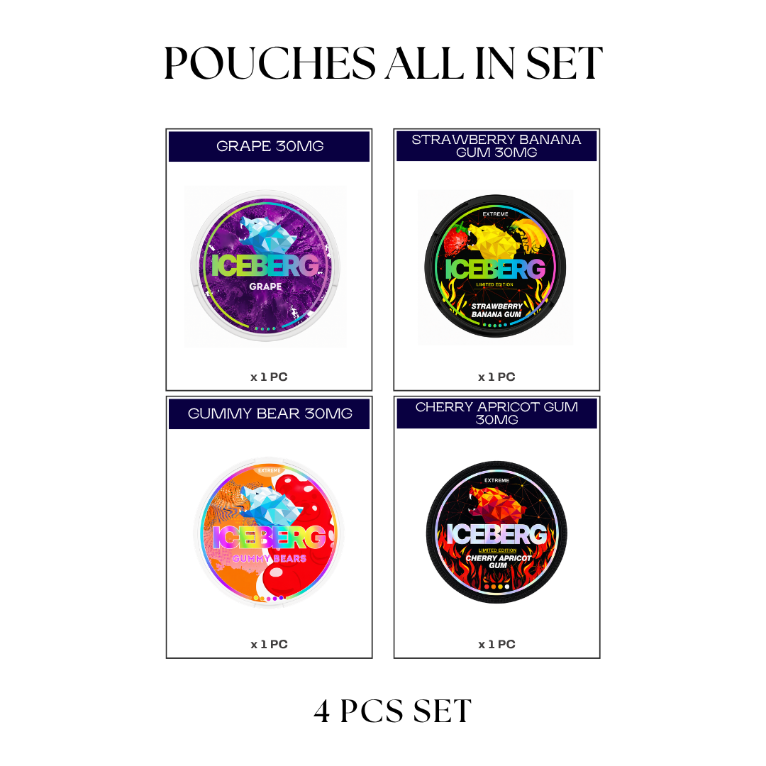 ICEBERG Pouches All-In Set (4pcs)