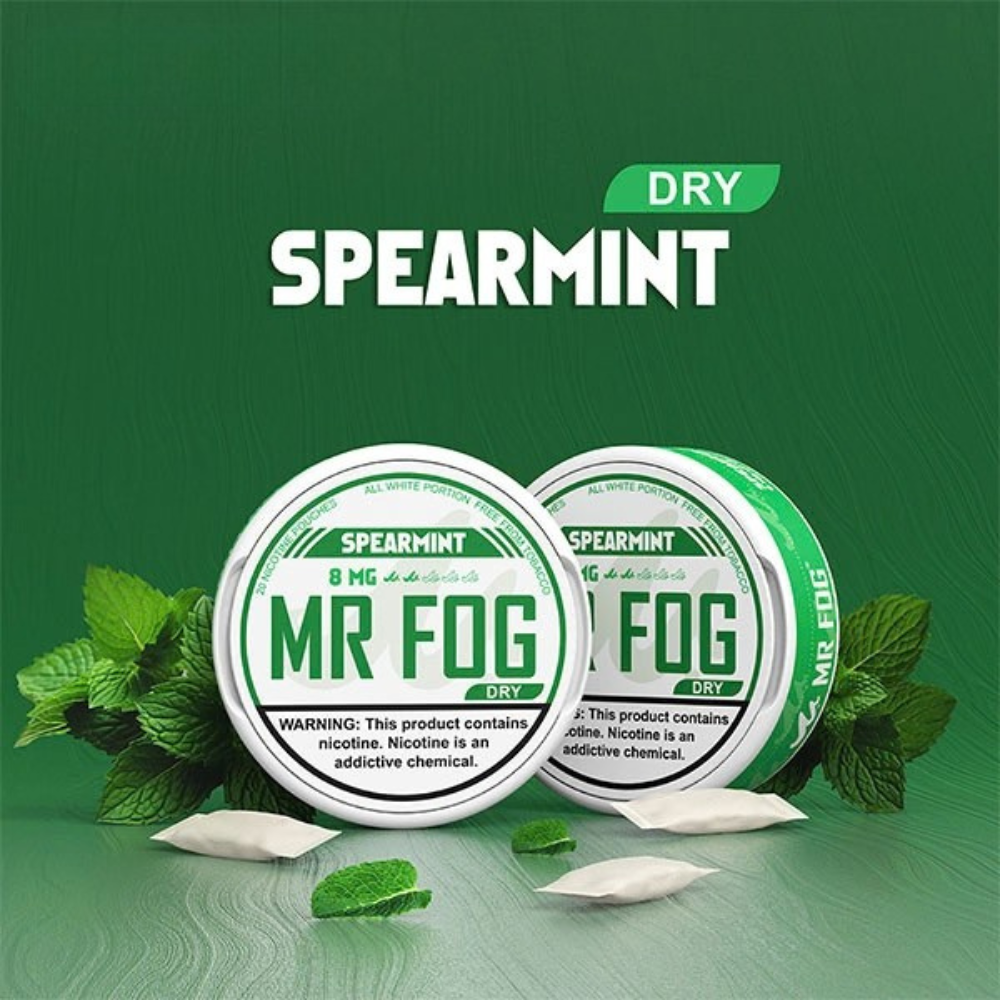 MR FOG Pouches Spearmint 8MGÂ (Dry)