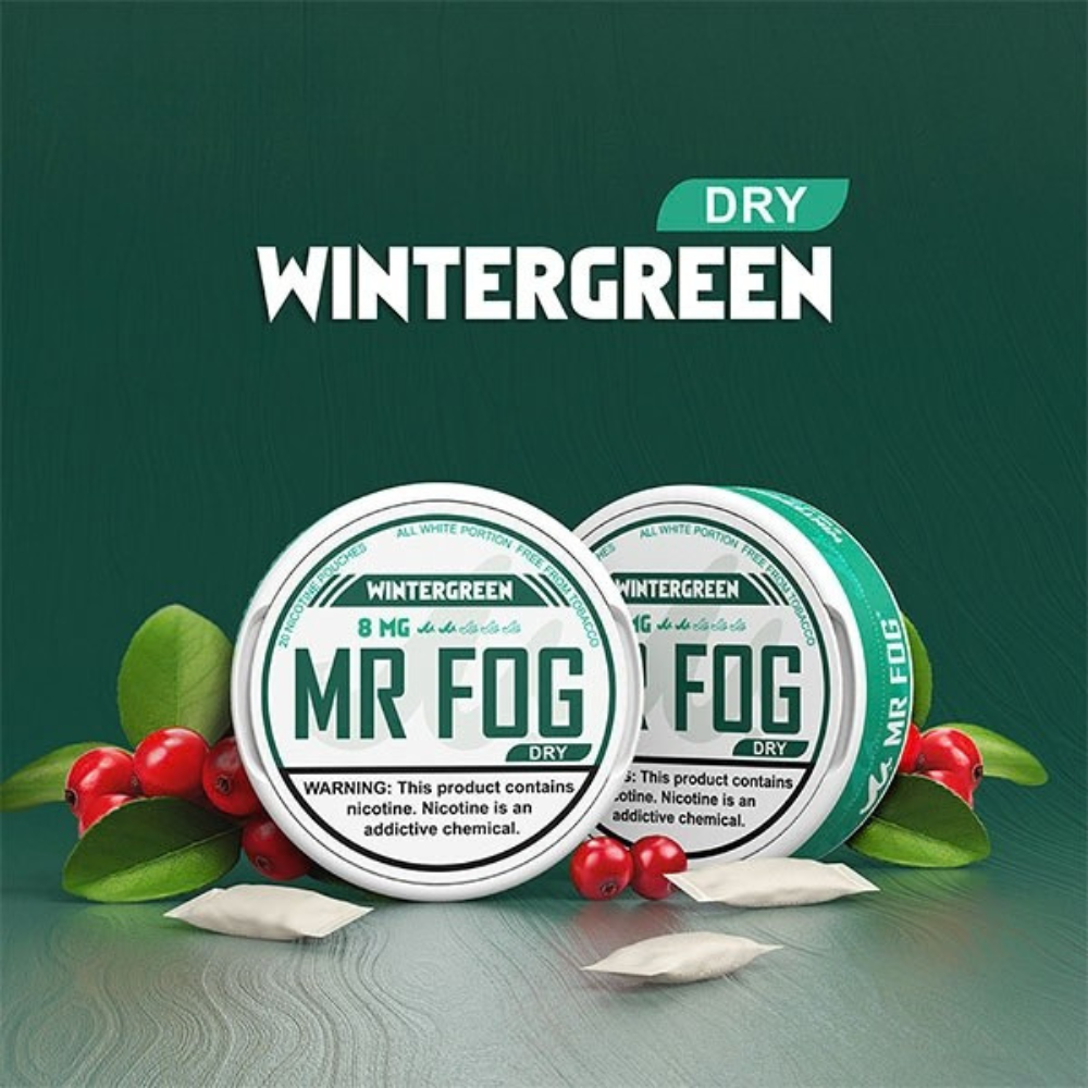MR FOG Pouches Wintergreen 8MG (Dry)