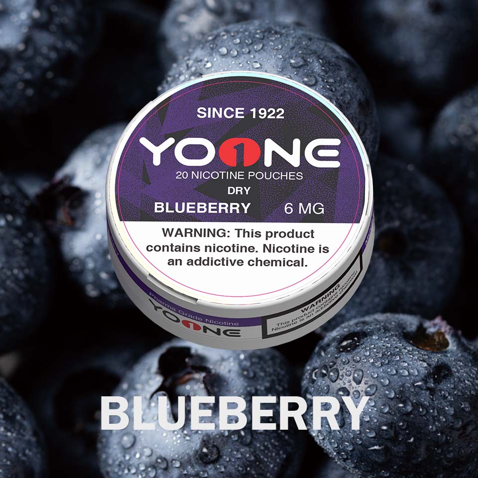 YOONE Pouches Blueberry 6MG (Dry)
