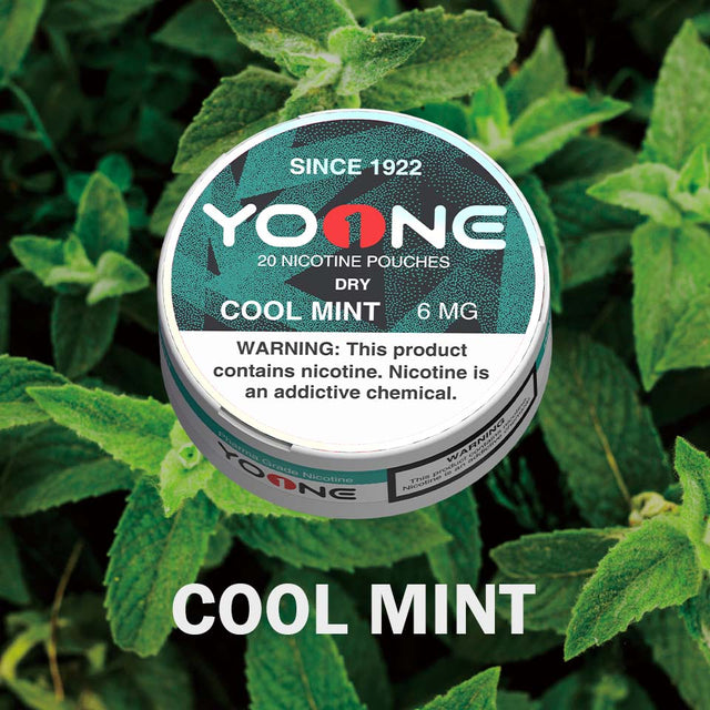 YOONE Pouches Cool Mint 6MG (Dry)