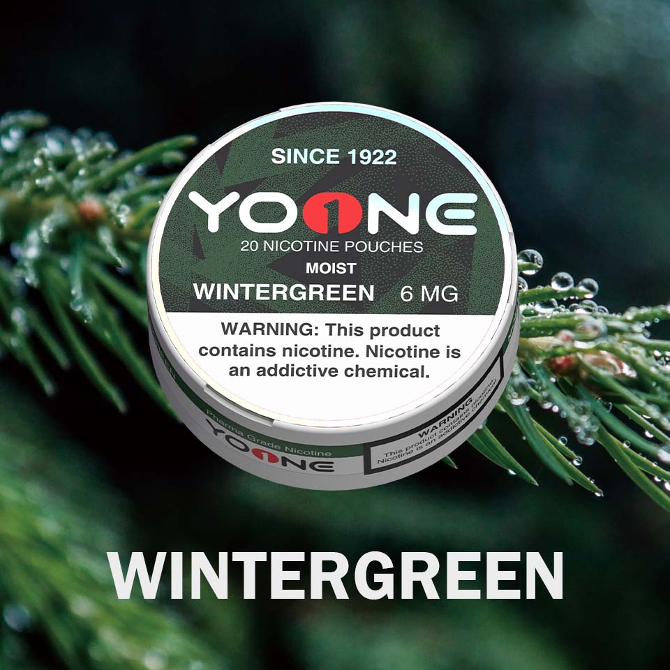 YOONE Pouches Wintergreen 6MG (Dry)