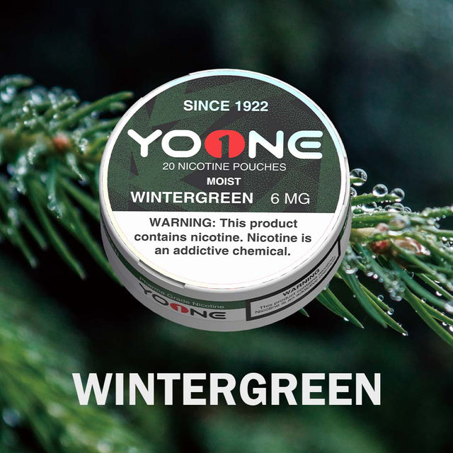 YOONE Pouches Wintergreen 6MG (Dry)
