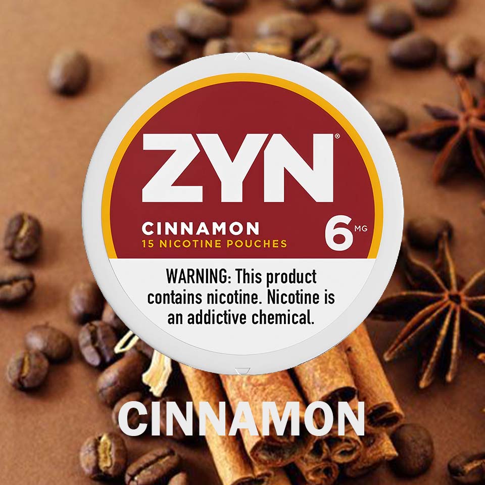 ZYN Pouches Cinnamon 6MG