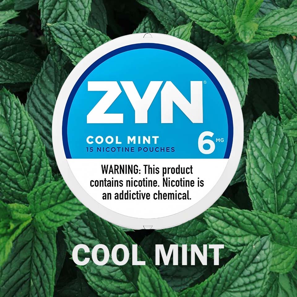 ZYN Pouches Cool Mint 6MG