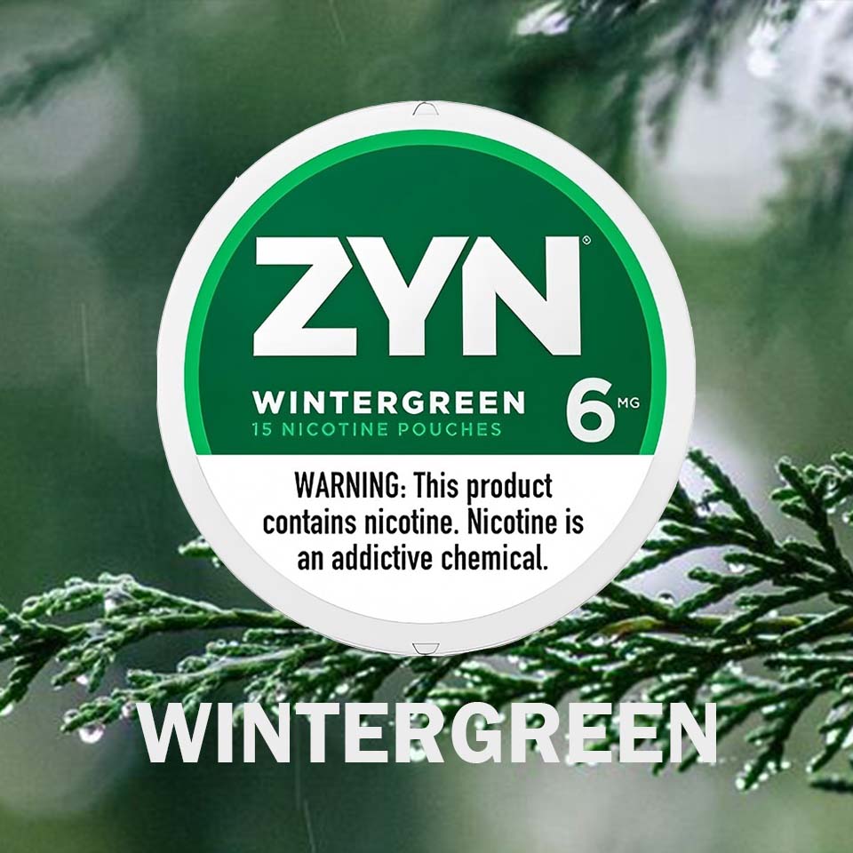 ZYN Pouches Wintergreen 6MG