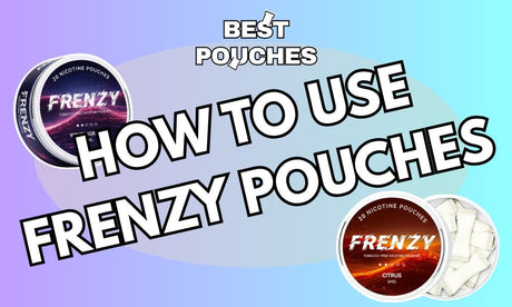 How to Use FRENZY: 5 Easy Steps for a Smooth First Experience
