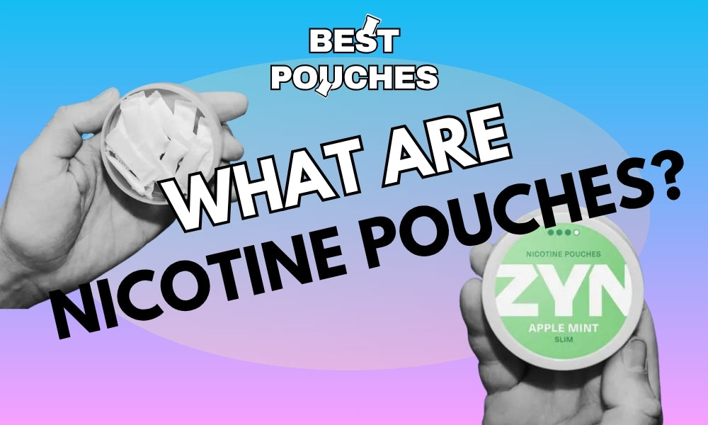 What Are Nicotine Pouches?