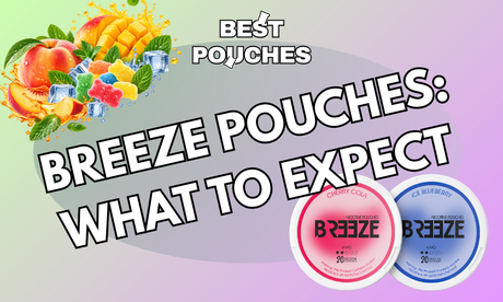Breeze Nicotine Pouches Review: Flavour, Kick & Lasting Power