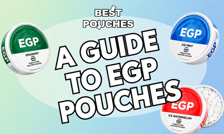 A Guide to EGP Nicotine Pouches: Flavors, Strengths & Top Picks