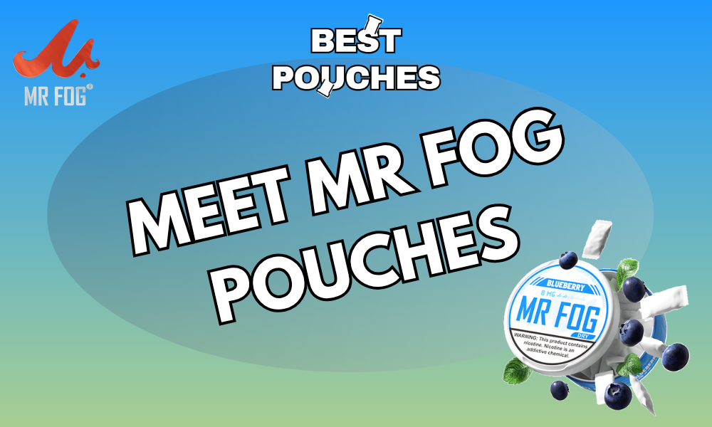 Meet MR FOG Pouches: A Familiar Name, A Different Format
