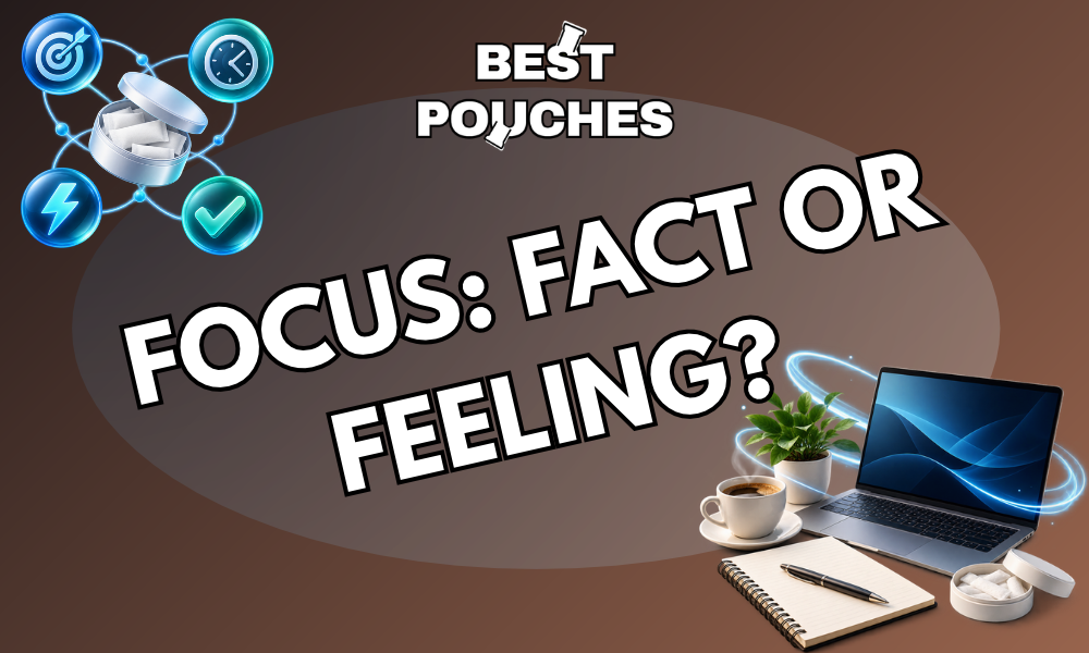 Do nicotine pouches help you focus? Explore what research says about nicotine, attention, concentration, alertness and how pouch strengths differ.