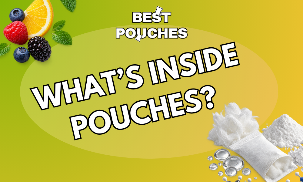What’s Inside Nicotine Pouches? A Closer Look at the Ingredients