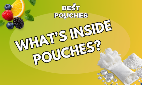 What’s Inside Nicotine Pouches? A Closer Look at the Ingredients