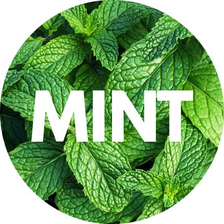 Mint