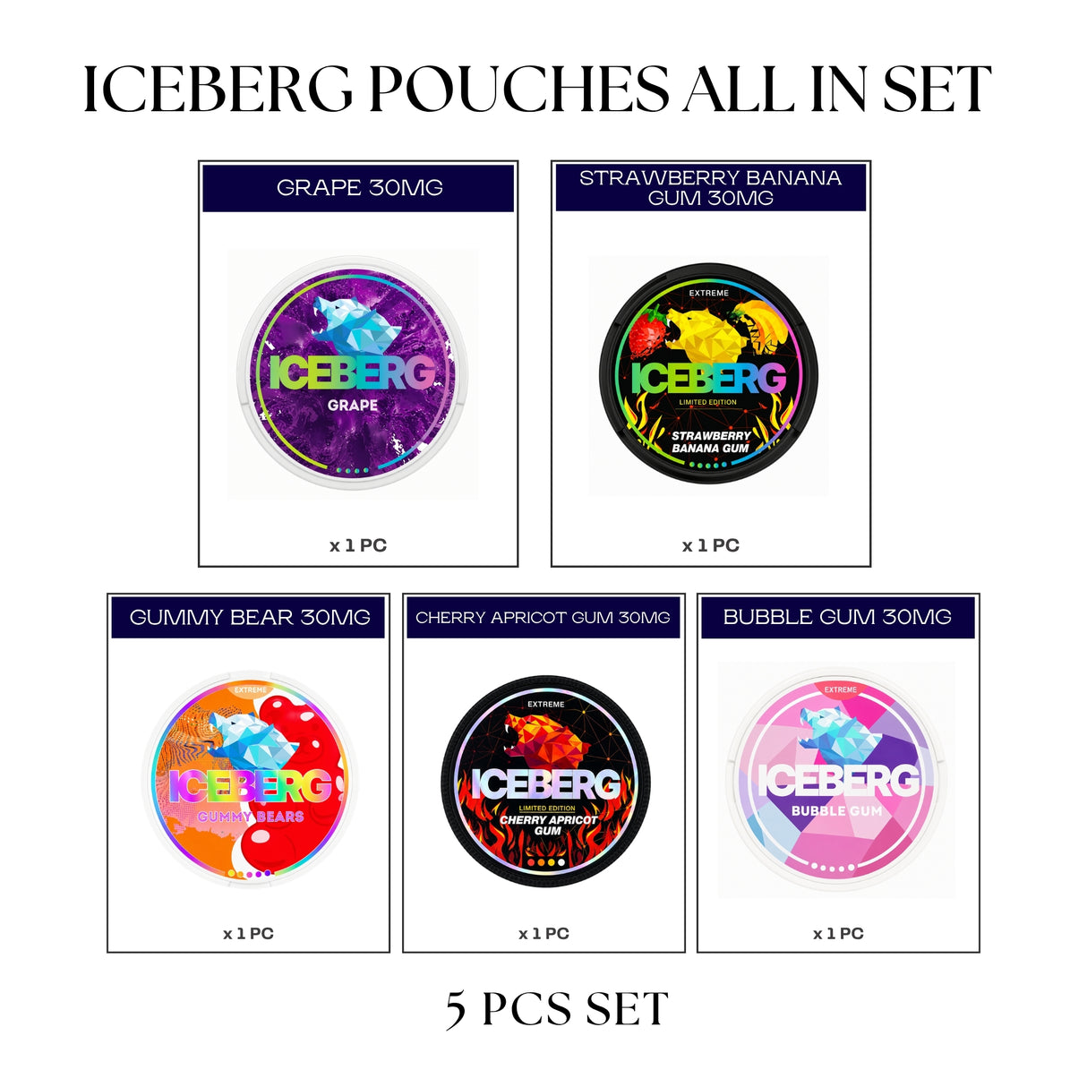 ICEBERG Pouches All-In Set (5pcs)