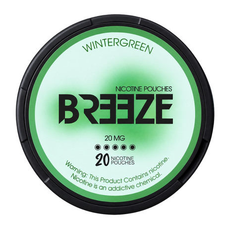 Breeze Pouches Wintergreen 20MG