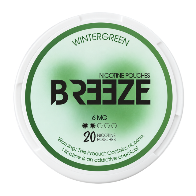 Breeze Pouches Wintergreen 6MG