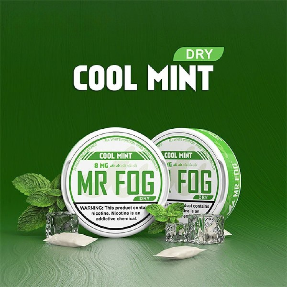 MR FOG Pouches Cool Mint 8MG (Dry)