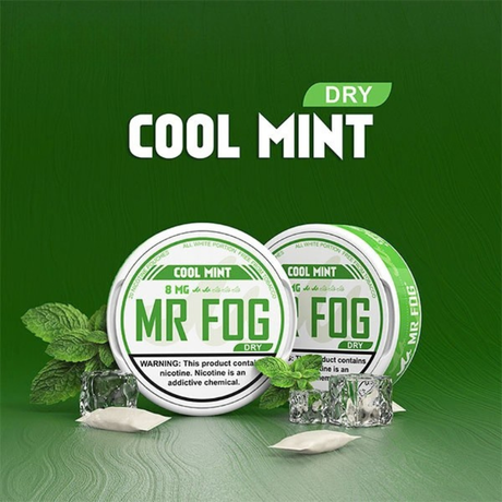 MR FOG Pouches Cool Mint 8MG (Dry)