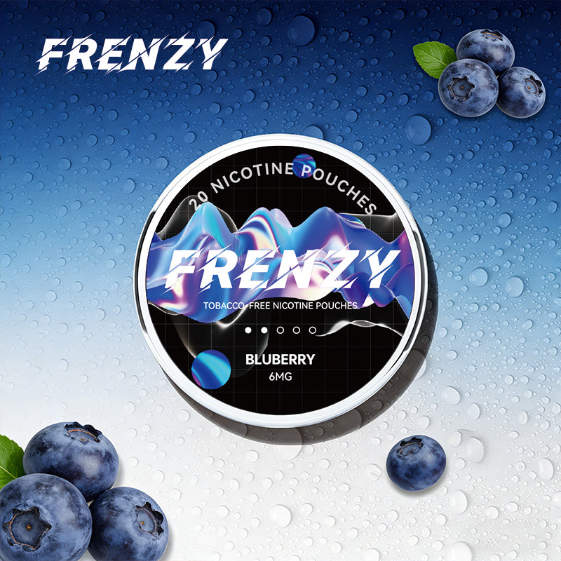 FRENZY Pouches Blueberry 6MG