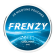 FRENZY Pouches Cool Mint 6MG