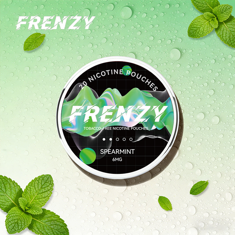 FRENZY Pouches Spearmint 6MG