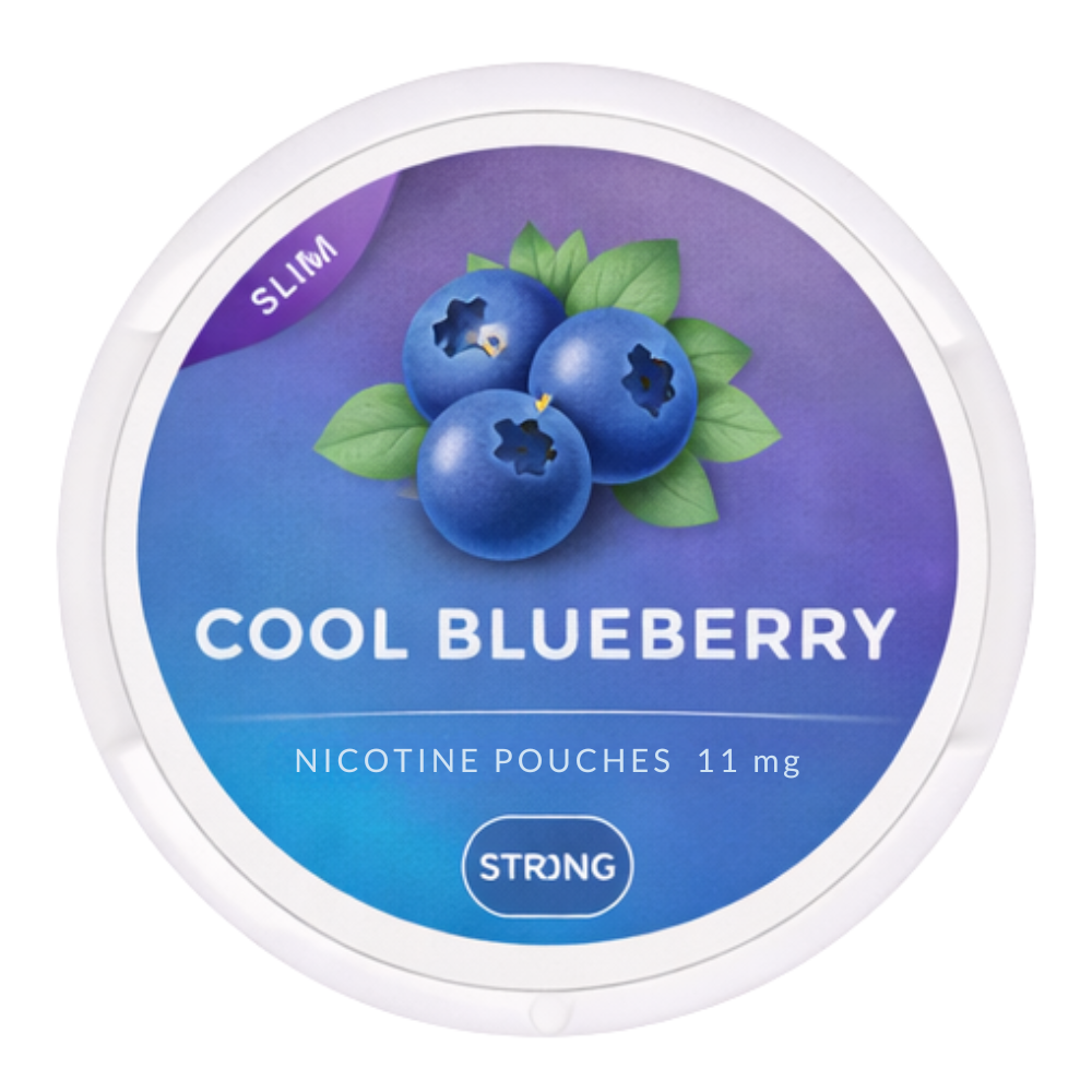Premium Nordic Nicotine Pouches Cool Blueberry Strong 11MG