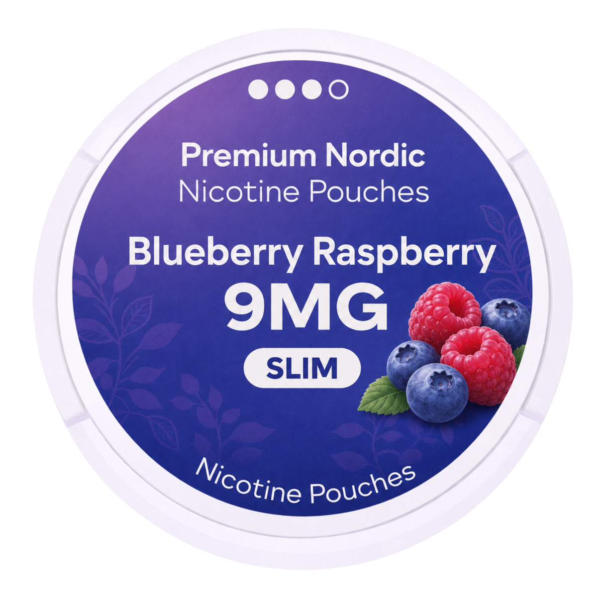 Premium Nordic Pouches Blueberry Raspberry 9MG
