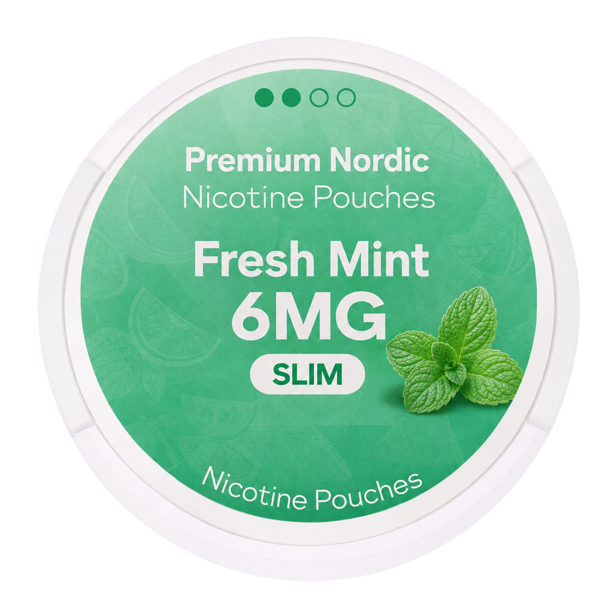 Premium Nordic Pouches Medium Fresh Mint 6MG