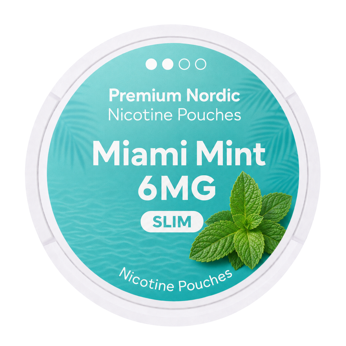 Premium Nordic Pouches Miami Mint 6MG