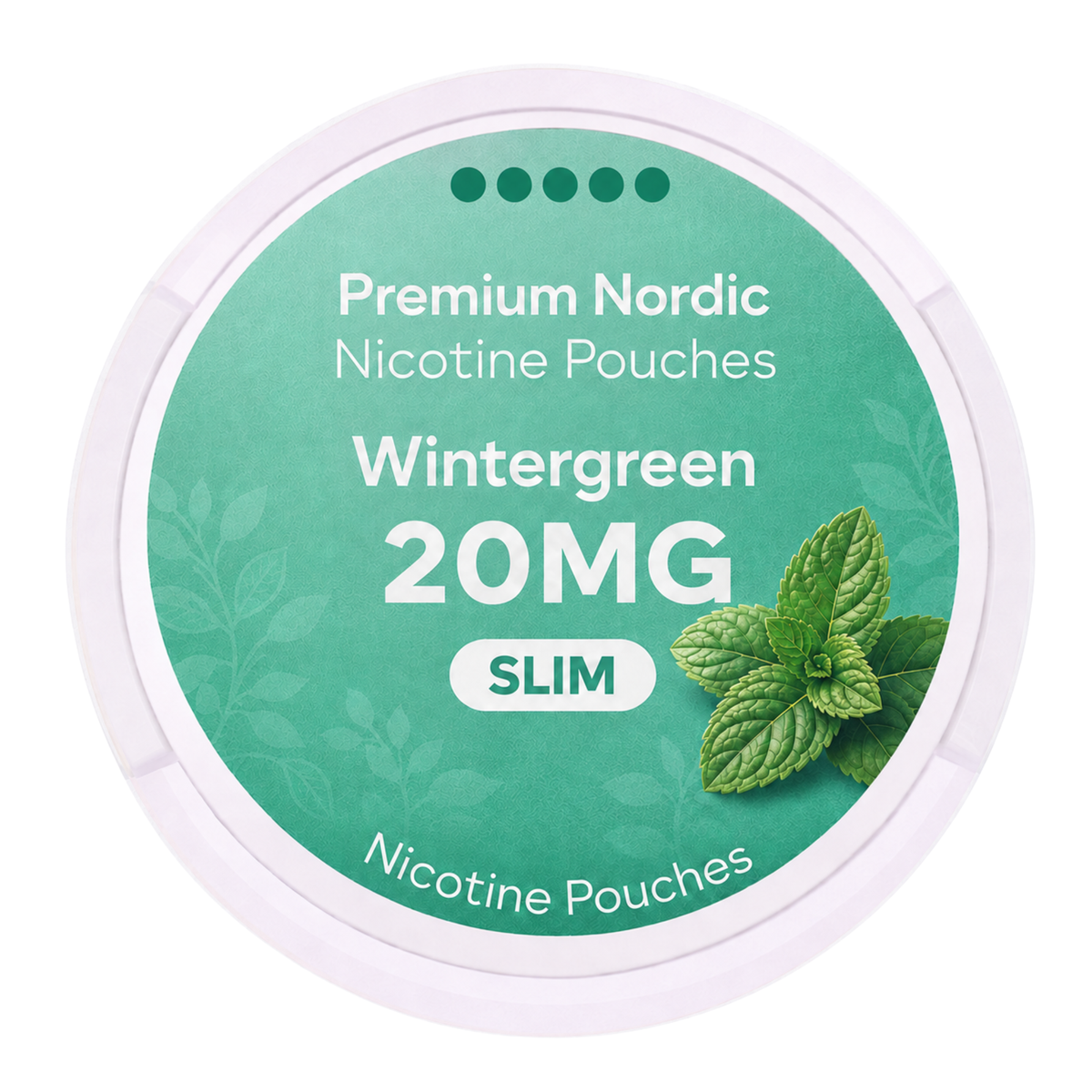 Premium Nordic Pouches Wintergreen 20MG