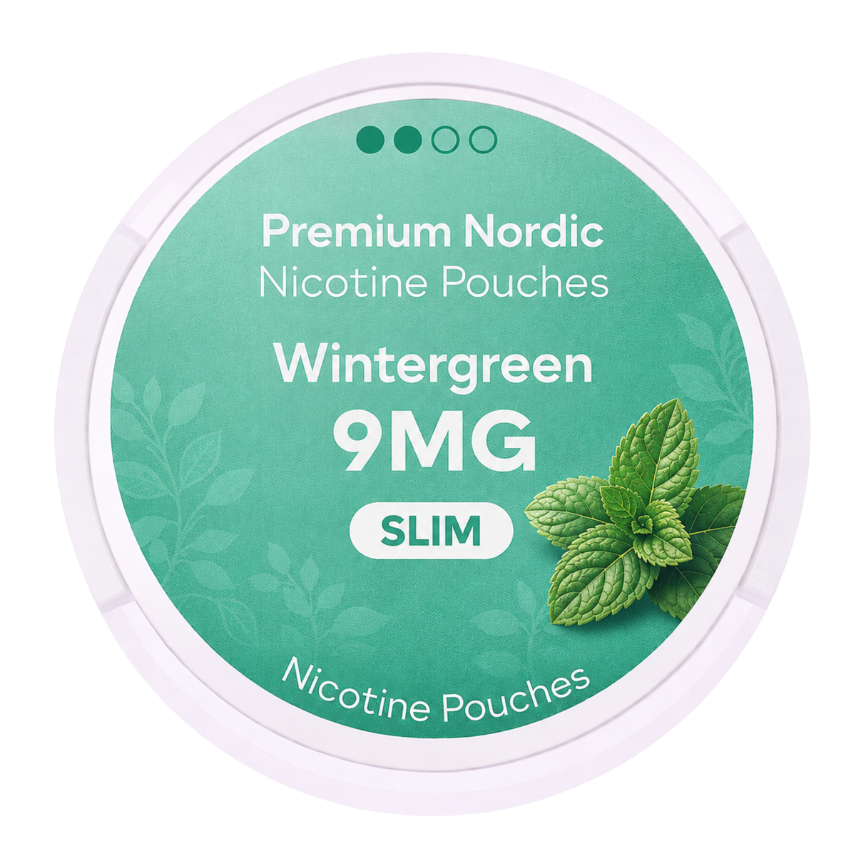 Premium Nordic Pouches Wintergreen 9MG