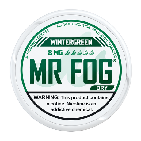 MR FOG Pouches Wintergreen 8MG (Dry)