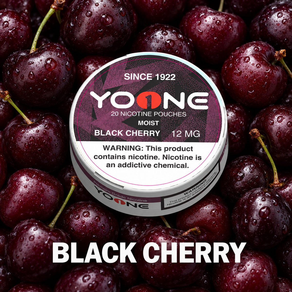 YOONE Pouches Black Cherry 12MG (Moist)