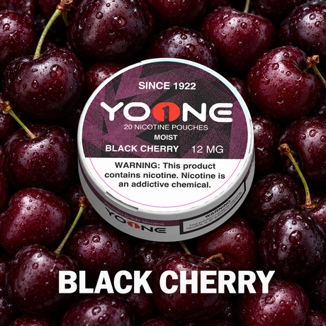 YOONE Pouches Black Cherry 12MG (Moist)