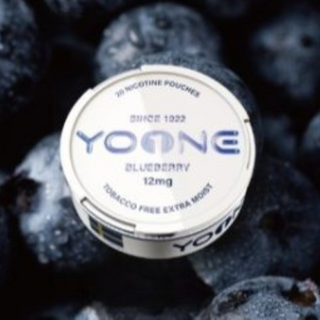 YOONE Pouches Blueberry 12MG (Moist)