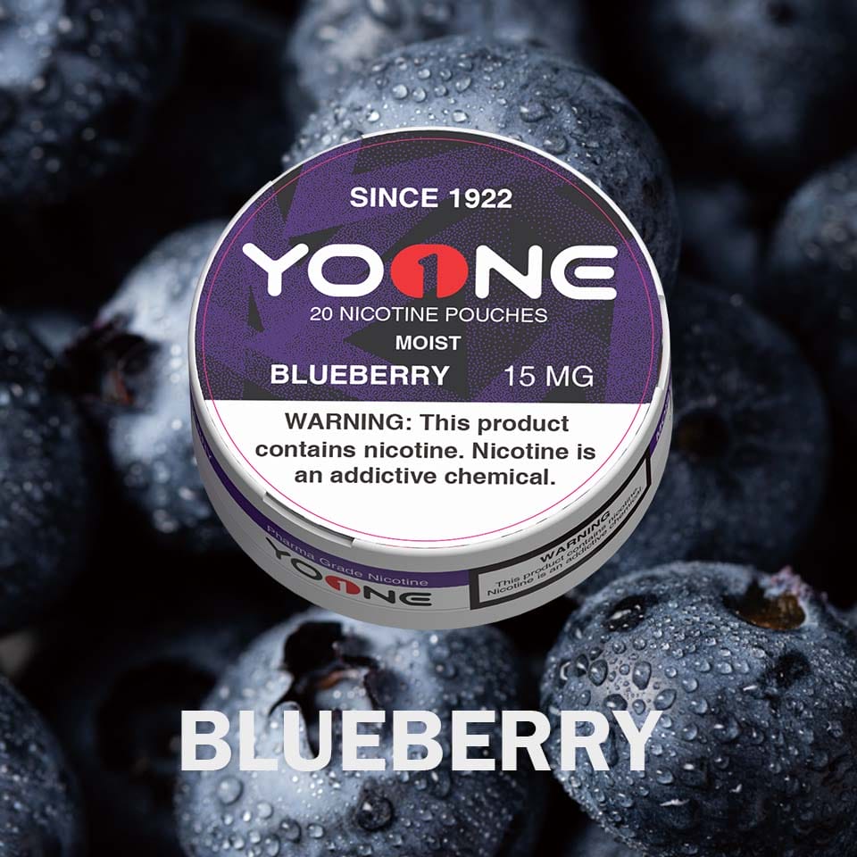 YOONE Pouches Blueberry 15MG (Moist)