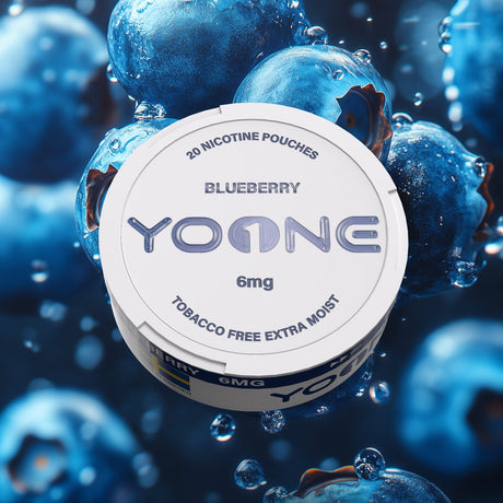 YOONE Pouches Blueberry 6MG (Moisture)