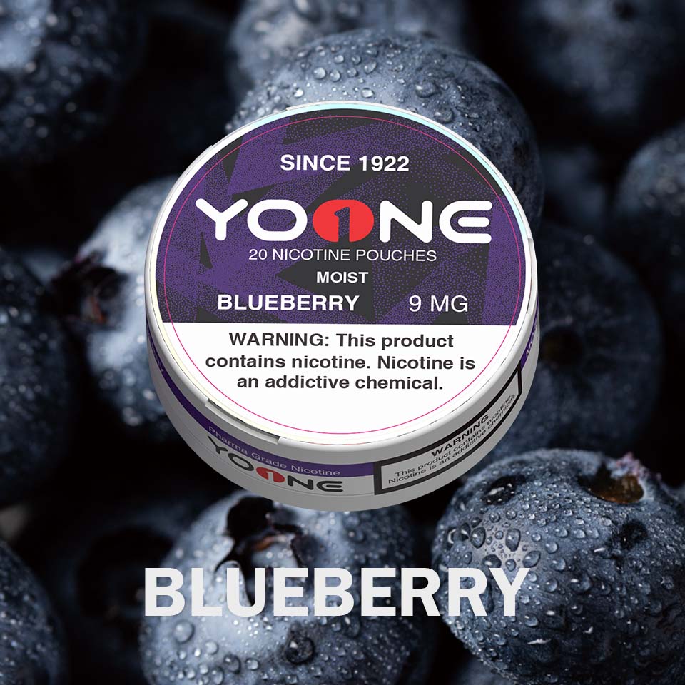 YOONE Pouches Blueberry 9MG (Moist)