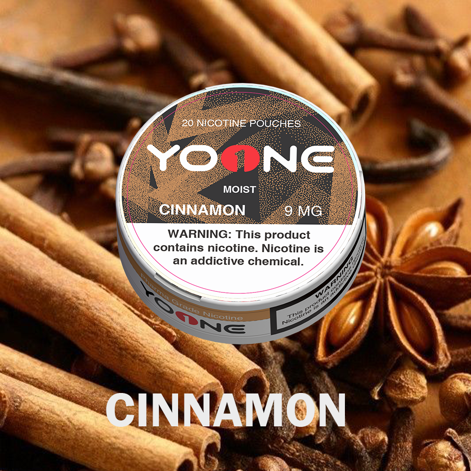 YOONE Pouches Cinnamon 9MG (Moist)