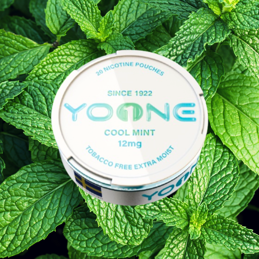 YOONE Pouches Cool Mint 12MG (Moist)