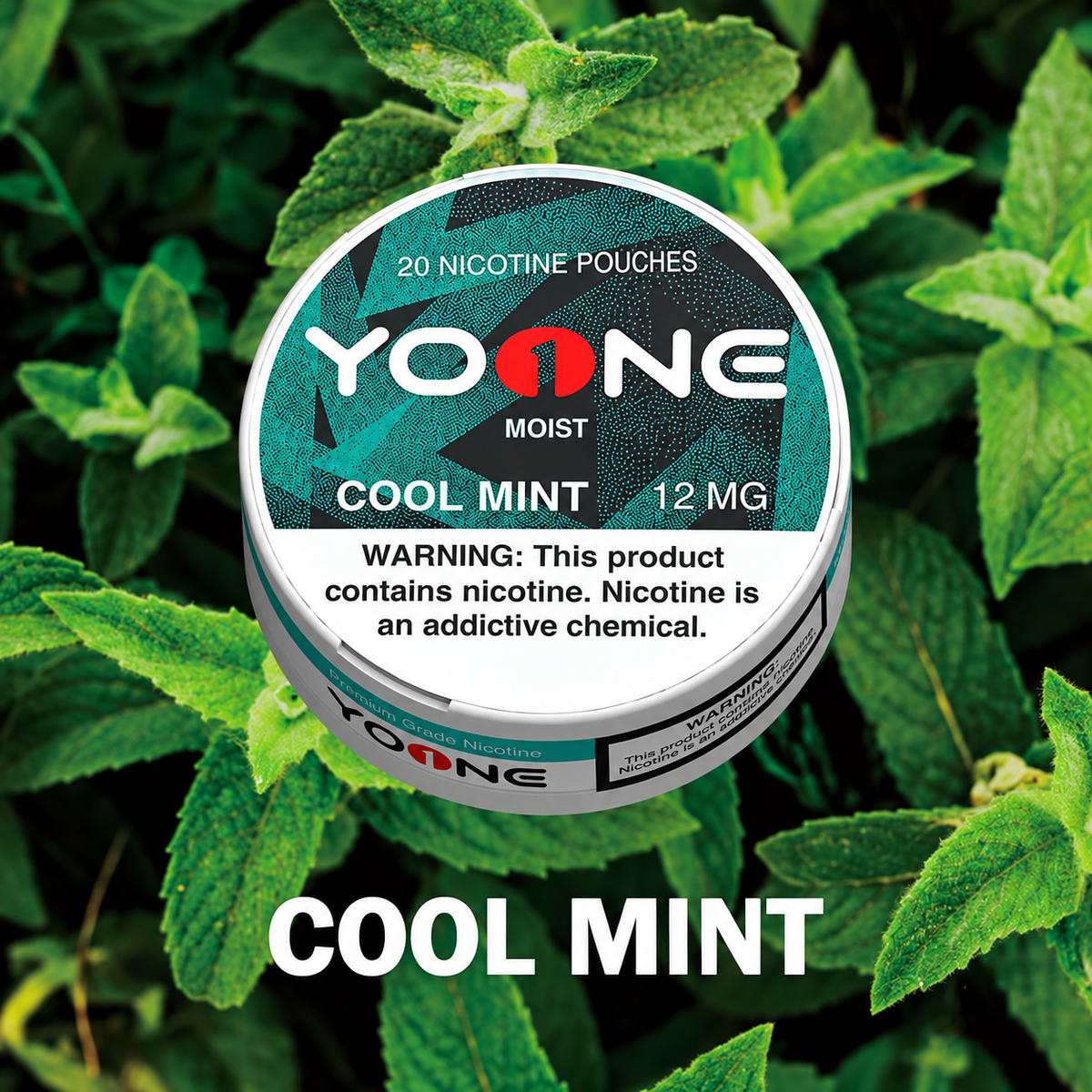 YOONE Pouches Cool Mint 12MG (Moist)