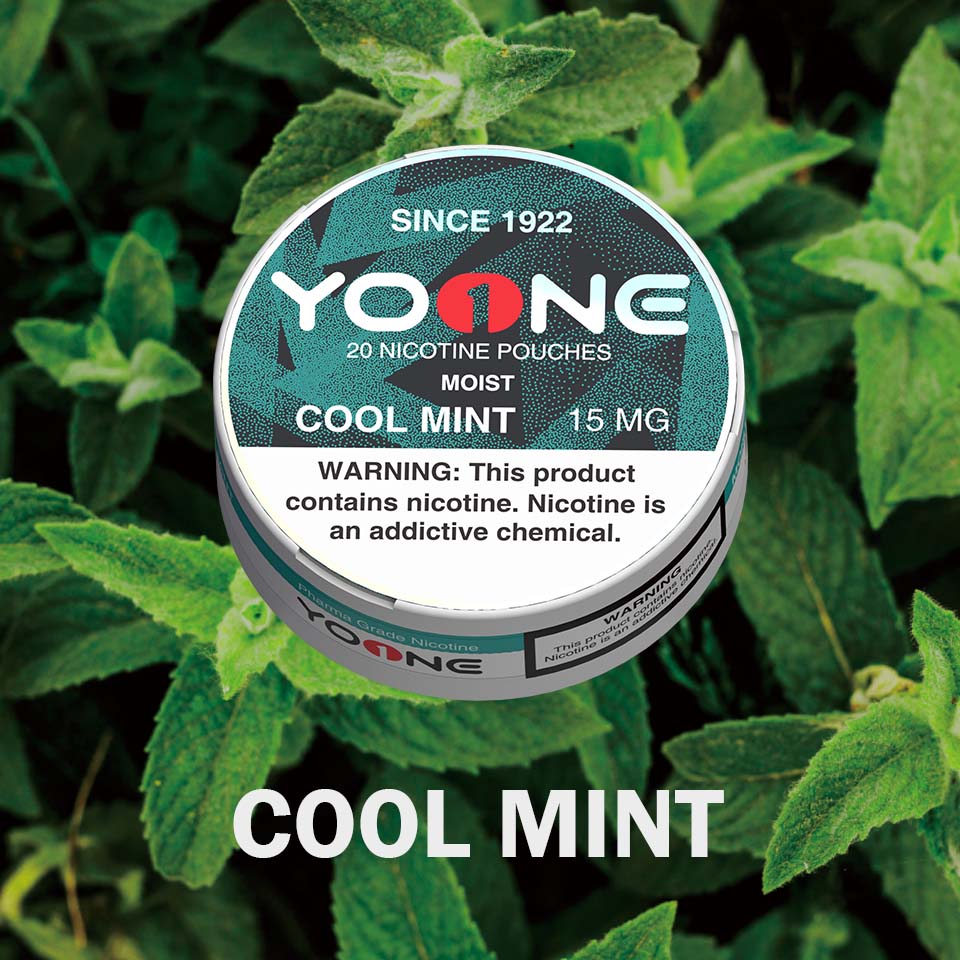 YOONE Pouches Cool Mint 15MG (Moist)