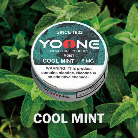 YOONE Pouches Cool Mint 6MG (Moisture)