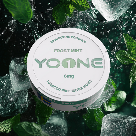 YOONE Pouches Frost Mint 6MG (Moisture)