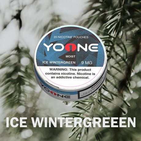 YOONE Pouches Ice Wintergreen 9MG (Moisture)