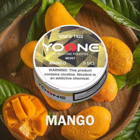 YOONE Pouches Mango 9MG (Moist)